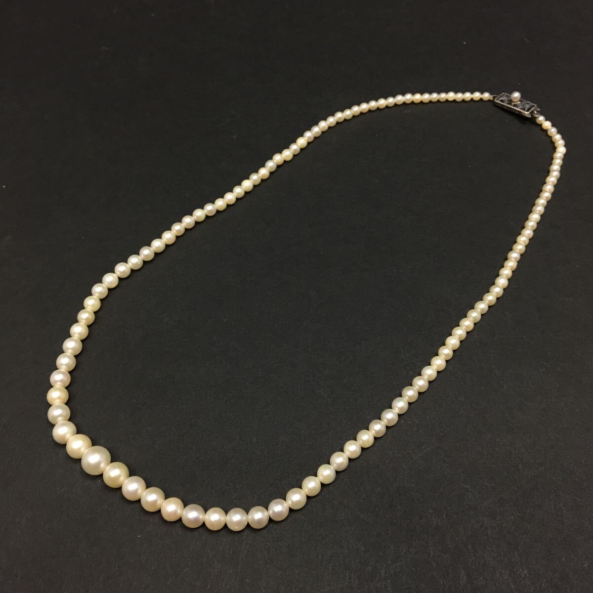 Yahoo!オークション -「ミキモト シルバーネックレス mikimoto」の落札 