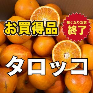 ブラッドオレンジ（タロッコ）5キロ（箱込み）秀品〜家庭用