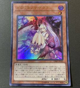 遊戯王 カクリヨノチザクラ ウルトラレア VJMP-JP163