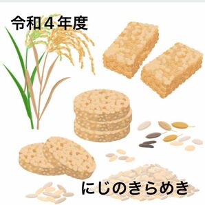 数量限定　令和4年産　にじのきらめき　玄米5K