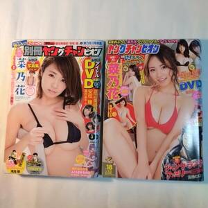 別冊ヤングチャンピオン　2016年3月号　ヤングチャンピオン　2018年NO.18　2冊セット　菜乃花　松嶋えいみ　安枝瞳　浅川梨奈　他