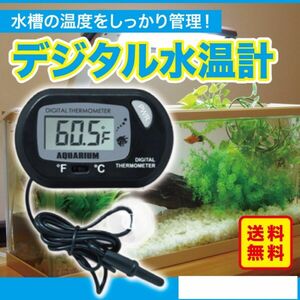 デジタル水温計 １個 金魚鉢水温計 水槽