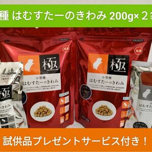 ハイペット　小型種はむすたーのきわみ　200g ×２袋セット 試供品付き♪