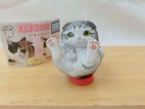 まんまるねこ　「スコティッシュフォールド（グレー）」 ガチャ フィギュア 　タカラトミーアーツ　 まんまるどうぶつ ねこ 猫 ネコ 動物 