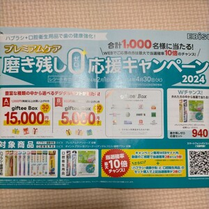 ■□Bコース 確率2倍 エビス プレミアムケア 磨き残しゼロ応援キャンペーン デジタルポイント5000円分 レシート 懸賞・応募4月30日□■