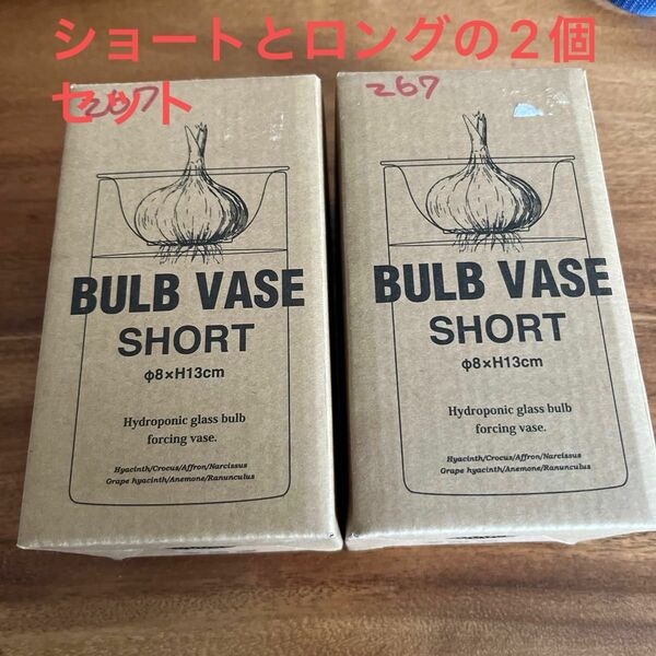 BULB VASE ショート　ロング