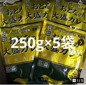 レトルトカレーおとなの大盛りカレー中辛250g5袋