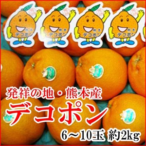 【Good】大量出品！JA熊本果実連 熊本産 デコポン 6～10玉約2kg