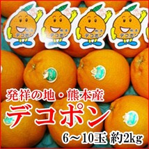 【Good】大量出品！発祥の地・熊本産 デコポン JA熊本果実連 6～10玉 約2kg_画像1