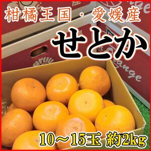 【Good】大量出品！高級柑橘！柑橘王国 愛媛産『せとか』10～15玉 約2kg