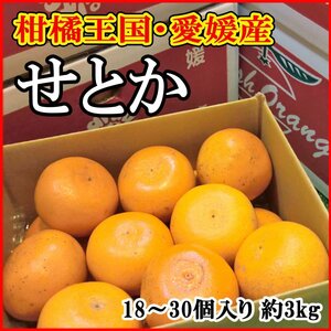 【Good】大量30箱出品中！高級柑橘！愛媛産『せとか』18～30玉 約3kg