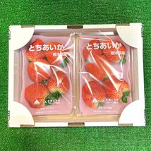 【Good】たっぷり10パック入り！！大量5箱！新品種 栃木県産オリジナル いちご『とちあいか』_画像6