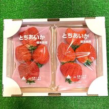 【Good】たっぷり10パック入り 大量5箱セット！！新品種 栃木県産オリジナル いちご『とちあいか』_画像5