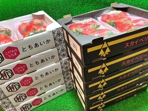 【Good】今季最終！！大量10箱セット たっぷり20パックお届けです！高級いちご 栃木産『スカイベリー』＆『とちあいか』