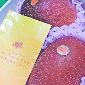 【Good】宮崎産 みやざきマンゴー『宮崎完熟マンゴー』3玉 約1kg ご予約の画像3