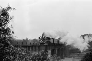 飾って楽しむ鉄道写真（去りゆく蒸気機関車：日豊本線 ） NO.63650012「C11200」