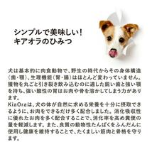 KiaOra DOG グラスフェッドビーフ＆レバー4.5kg　ドッグフード　きおあら 犬 子犬 成犬 シニア犬 食物アレルギー _画像3