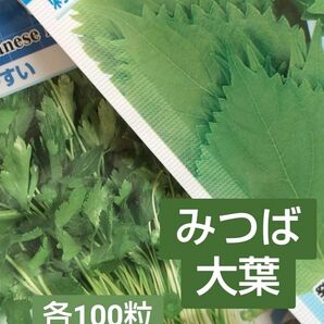 種□みつば・大葉 各100粒セット