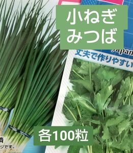 種□ねぎ・みつば各100粒セット