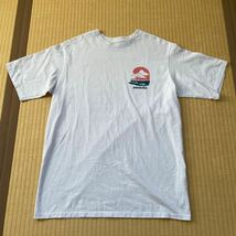 パタゴニア Tシャツ PATAGONIA HALEIWA PATALOHA 限定Tシャツ patagonia 半袖Tシャツ パタロハ ハレイワ店 Tシャツ pataloha_画像3