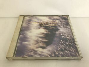 CD/ザ・スカタライツ スカ・タ・ショッツ/ザ・スカタライツ/NEC/NACP-3028/【M001】