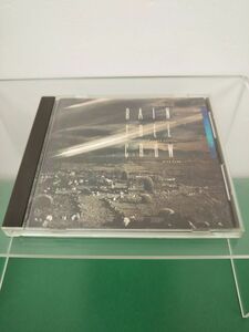 CD / RAIN TREE CROW / VIRGIN JAPAN / VJCP-30087 / 【M002】