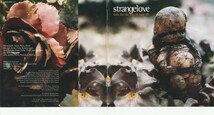 Strangelove / Time For The Rest Of Your Life /UK盤/中古CD!!68996_画像2