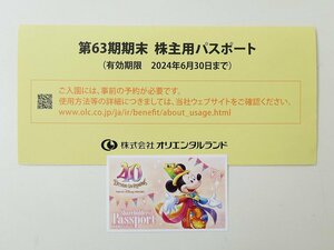 【17】　株主優待　東京ディズニーリゾート　１ＤＡＹパスポート　1枚　有効期限2024年6月30日まで　オリエンタルランド