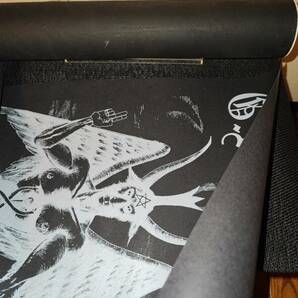 G.A.T.E.S. Total Death / Ltd.100 Tardis Records Destard 009 ゲイツ メタルパンク Metal Punk ピクチャー LP の画像6