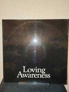 極美盤 蘭オンリー Orig Loving Awareness More Love Records ML001 Skip Bifferty Glencoe Arc Ian Dury And The Blockhead