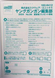 ヤングガンガン 6号　田中美久 QUOカード 　 応募ハガキ 1枚　定形郵便送料無料