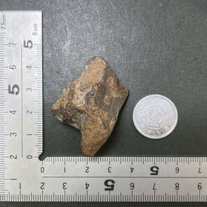 大型★コンドライト 石質隕石 メテオライト 隕石屋メテオス★240404の画像7
