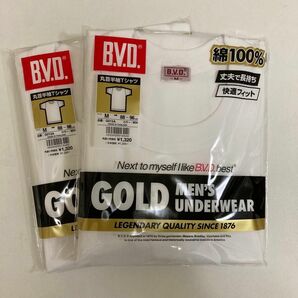 BVDゴールドメンズアンダーウェア　丸首半袖Tシャツ2枚組　サイズM胸囲88〜96cm 未使用未開封　富士紡ホールディングス