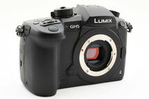 Panasonic パナソニック LUMIX DC-GH5 ボディ ジャンク 現状品_画像4