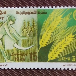 エジプト 1986 ユネスコ&世界食料デー40周年 未使用糊なし UNESCO 麦の画像4