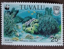 ツバル　1992 サンゴ　WWF （世界自然保護基金）　4完 未使用糊あり さんご礁　ブルーコーラル　海　さかな_画像4