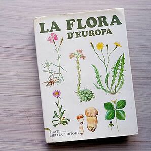 ★イタリア/ヴィンテージ植物図鑑/LA FLORA D’EUROPA/ヨーロッパの植物/大型本/大判図鑑★洋書本/イタリア語★の画像1