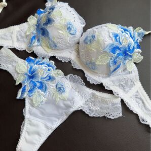 サルート 希少 店舗限定 D65 48G 迎賓の薔薇 ワコール