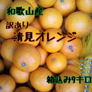 ■和歌山産 訳あり 清見オレンジ サイズ混合 箱込み9キロ■