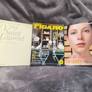 FIGARO japon (フィガロジャポン) 2005年 3/20号　付録付き　パリ PARIS パリの魅力のすべて