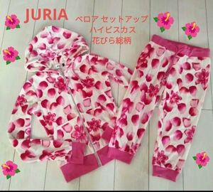 JURIA ジュリア ベロア セットアップ ハイビスカス 総柄 ジップアップパーカー ＋パンツ 