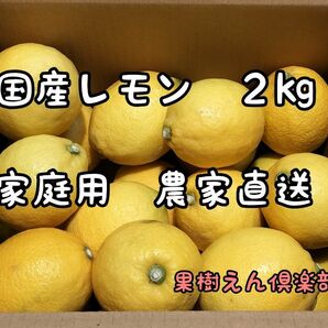 国産レモン２kg家庭用　農家直送