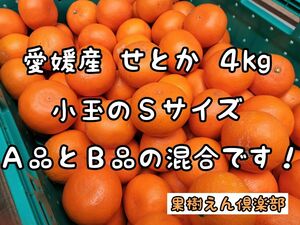 せとか４kg　小玉ＳサイズＡ・Ｂ品混合　愛媛産