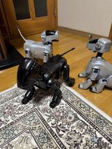 コレクション放出！　SONY AIBO ソニー ERS−111 3兄弟　動作確認済み　動画あり_画像5