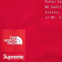 S Supreme/The North Face Nylon Short_画像4