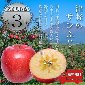 ＂ サンふじ ＂【青森県産りんご3kg】【産地直送】【即購入OK】【送料無料】家庭用 りんご リンゴ 林檎 サンフジ