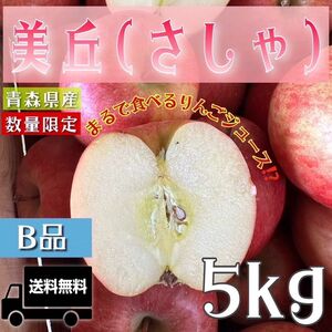 ＂ 美丘 (さしゃ) ＂【希少品種】【青森県産りんご5kg】【産地直送】【即購入OK】【送料無料】家庭用 りんご リンゴ 林檎