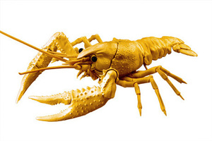  Fujimi free research 24EX-5. kimono compilation America crayfish special specification ( Gold )