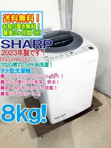 ★送料無料★2023年製★極上超美品 中古★SHARP 8.0kg 穴なし槽で清潔・節水!! 「ガンコつけおきコース」 全自動洗濯機【ES-GV8G-S】D1EJ