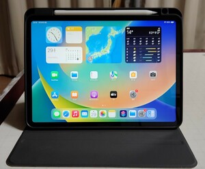 Apple Wi-Fiモデル iPad Pro 11 第3 M1 Apple Pencil カバー